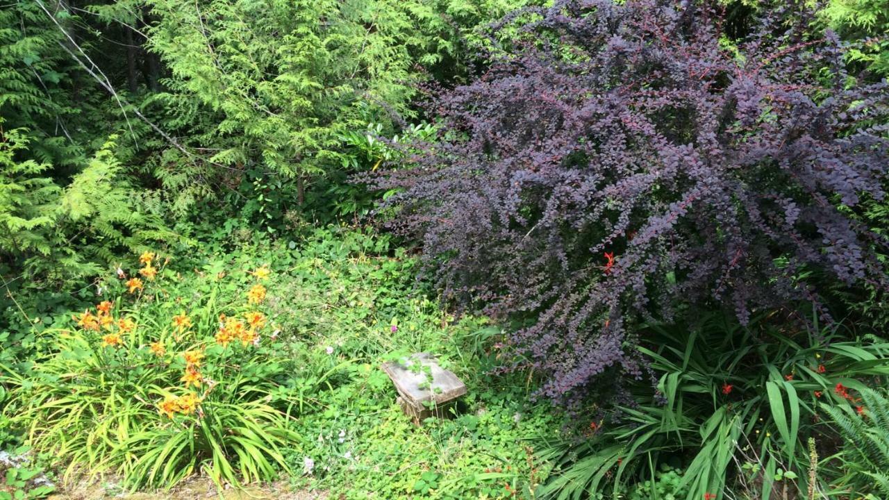 Secret Cove Cottage Suites Halfmoon Bay Экстерьер фото